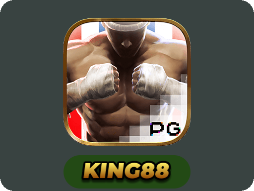 Muay Thai Champion